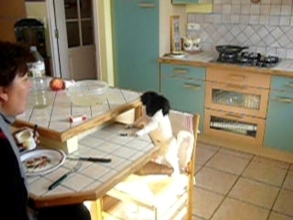 Chocolat à table1