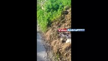 Andria: anche siringhe tra i rifiuti abbandonati a pochi metri di distanza dal liceo scientifico - VIDEO