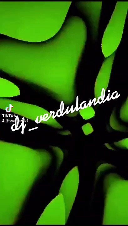 #djverdulandia #verdulandiabrunello1 #brunellolucaufficiale #2022verdulandia #lucabrunellotreviso #3dverdulandia #remix #mashup #musica