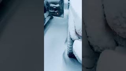 Person Forgets to Shut Truck Door During Snow Storm