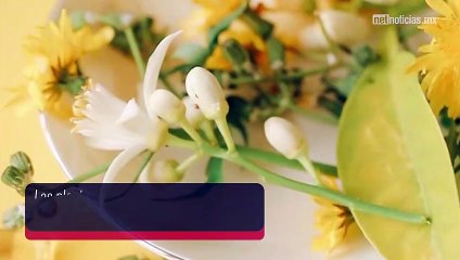 Cuida tu sistema inmunológico esta temporada