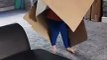 Child Runs Around in Cardboard Box and Bumps into Wall