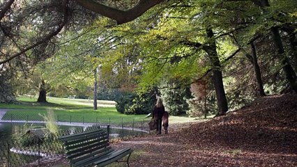 MADELEINE COLLINS : Bande annonce 2021 du film d'Antoine Barraud - Bulles de Culture