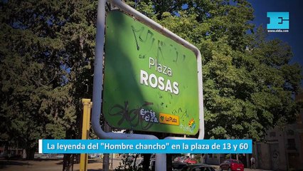 La leyenda del "Hombre chancho" en la plaza de 13 y 60