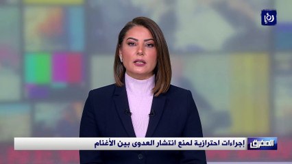 المفرق: إجراءات احترازية لمنع انتشار العدوى بين الأغنام