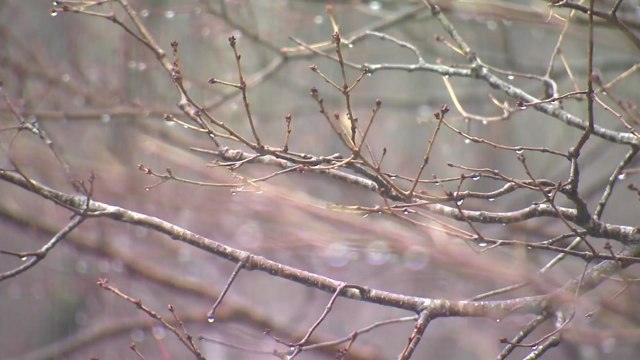 [날씨] 주말, 한파 주춤...전국 흐리고 중부 오후부터 비·눈 / YTN