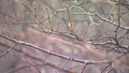 [날씨] 주말, 한파 주춤...전국 흐리고 중부 오후부터 비·눈 / YTN