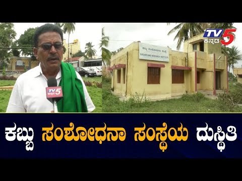 ಕಬ್ಬು ಸಂಶೋಧನಾ ಸಂಸ್ಥೆಯ ದುಸ್ಥಿತಿ | Sugarcane Research Institute | Mandya | TV5 Kannada