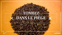 Tombez dans le Piège #164 : la cuisson des lentilles