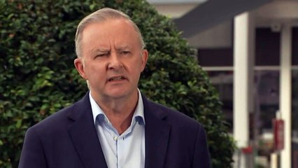 Opposition Leader says Djokovic's visa should never have been issued