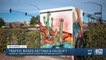 Traffic boxes in Chandler get facelifts from local artists