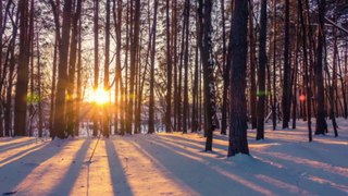 It's Coldest Before Dawn Dr. Robert Ownby