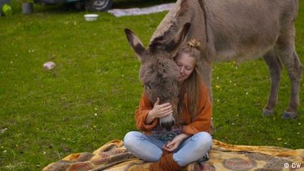 Tierischer Reisebegleiter: Unterwegs mit einem Esel