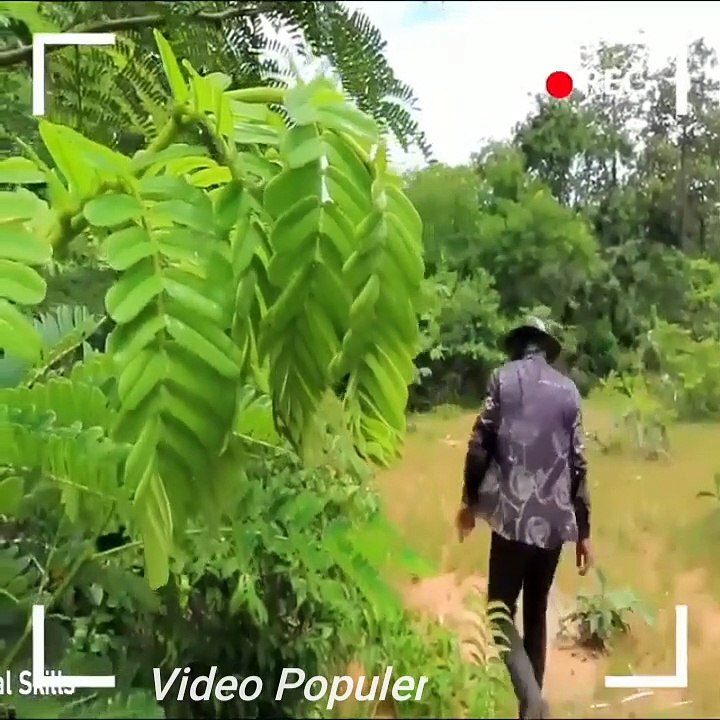 Perangkap Ular