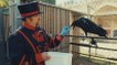 For the Birds: The Ravenmaster at the Tower of London