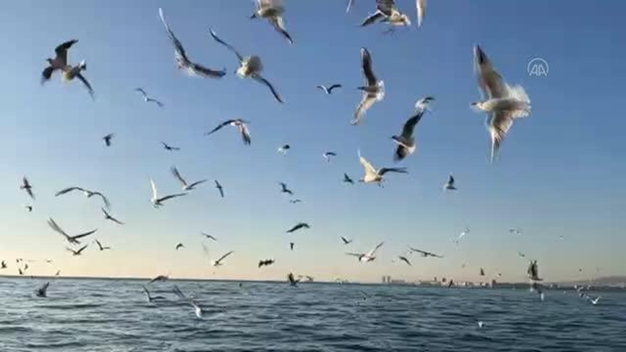 İzmir'de günlük yaşam