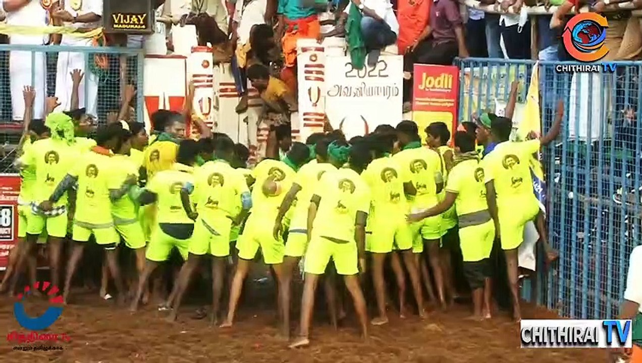 #cithiraitv #உலகப் புகழ்பெற்ற அவனியாபுரம் ஜல்லிக்கட்டு போட்டி தொகுப்பு சித்திரைடிவி நேயர்களுக்காக |