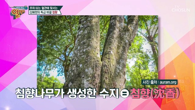 향의 다이아몬드 ❛침향❜으로 혈관 건강 해결하자 TV CHOSUN 20220116 방송