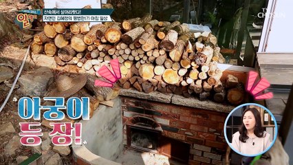 ‘나는 자연인이다’ 김혜정의 바쁘다 바쁜 일상ㅋㅋ TV CHOSUN 20220116 방송