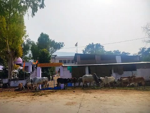 अब पशुपालकों को भी मिलेगा रियायती दर पर ऋण