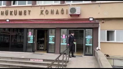 Son dakika haberi... Sinop Hükümet Konağı'nın sevimli misafiri kedi "Pakize"