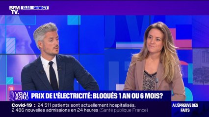 LA VÉRIF' - Les prix de l'électricité sont-ils bloqués six mois ou un an ?