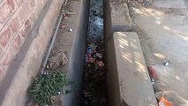 Drain jam, dirty water accumulating, filth piled up... this is Nagaur Agriculture Market