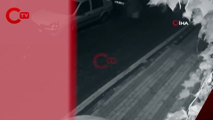 Otizmli gencin köpeğini pitbull zannederek silahla vurdu