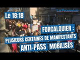 Forcalquier : plusieurs centaines de manifestants mobilisés