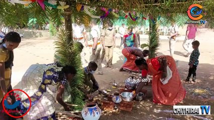 #cithiraitv #யானைகள் கொண்டாடிய யானைப் பொங்கல் விழா - விநாயகரே பொங்கல் பண்டிகையை சிறப்பித்த காட்சி |