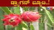 ಇತರರಿಗೆ ಮಾದರಿಯಾದ ವಿಜಯಪುರ ಅನ್ನದಾತ | Vijayapura | TV5 Kannada