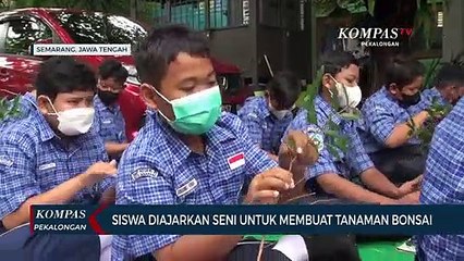 Siswa Diajarkan Seni Untuk Membuat Tanaman Bonsai