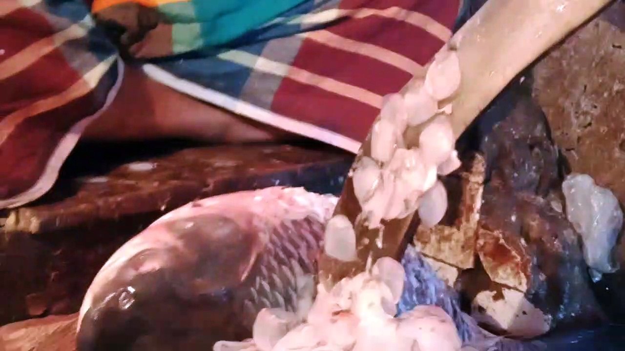 VID20220115125819