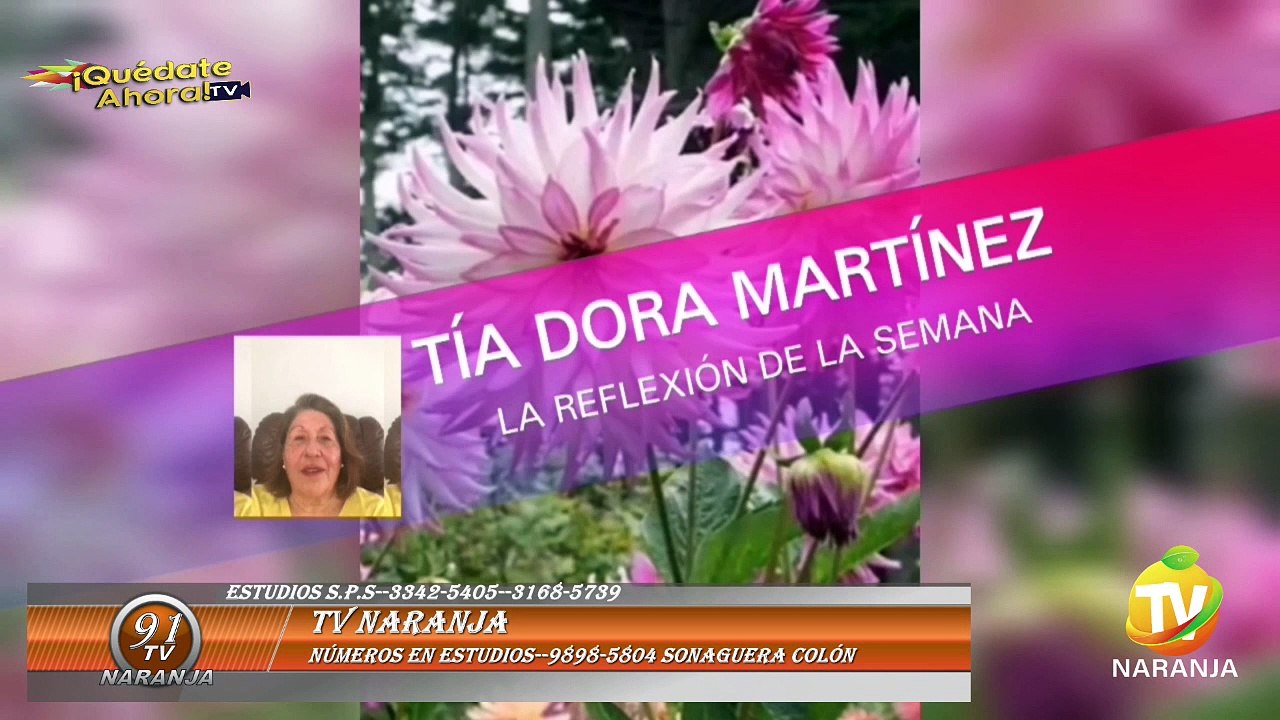 QUEDATE AHORA TV (11)