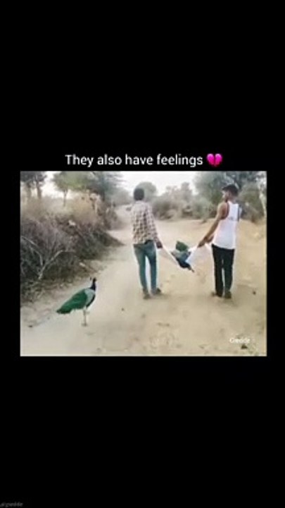 Wait for it... 