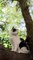 Cat on the Top of a Tree - Cute Cat 4K Video - Pets World #Tiktok #Viral #Short