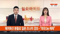 해저화산 분출로 일본 쓰나미 경보…