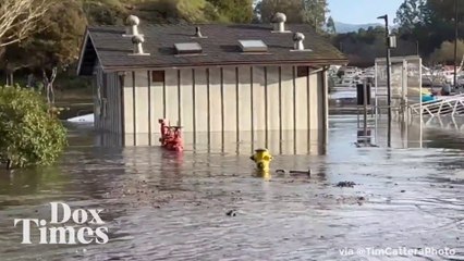 Gelombang Tsunami Menyebabkan Pelabuhan Santa Cruz di California Terendam Banjir