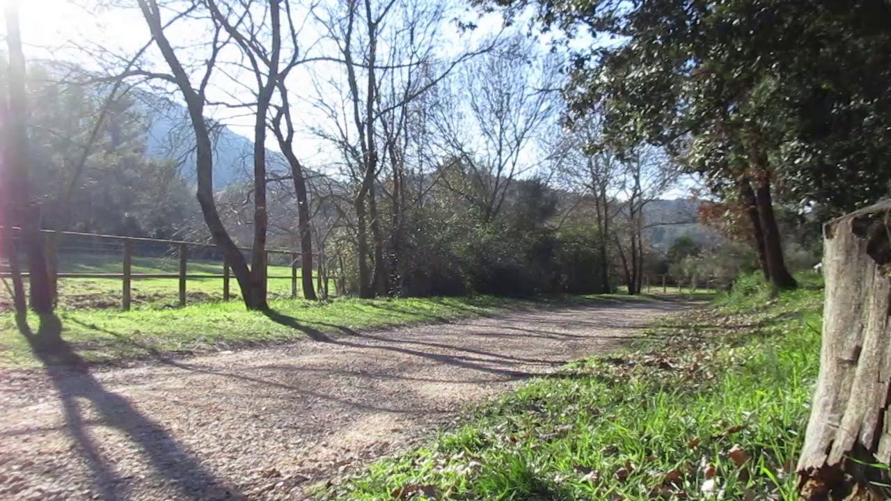 Reprise Vélo couché.