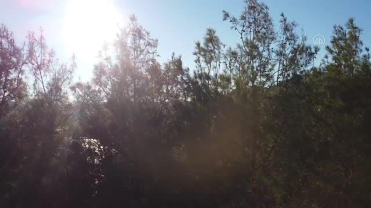 Ceyhan Nehri'nde yansımalar