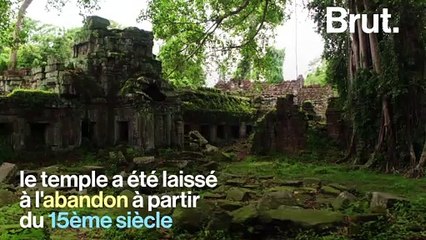 Cambodge : l'atmosphère unique du temple de Ta Prohm