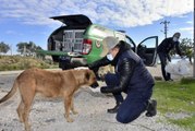 Sokak hayvanlarına polisten mama desteği