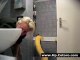 Petit bain pour son python albinos de 5m