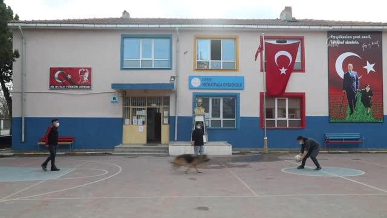 Öğrenciler "Pele" isimli sokak köpeğiyle derse girip oyunlar oynuyor