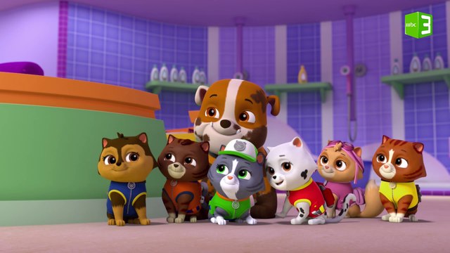 روبل يفقد السيطرة على القطط والنتيجة..