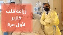 زراعة الأعضاء زرع قلب خنزير لأول مرة في جسم إنسان