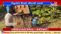 Gujarat reels in cold wave; Surat farmers to face difficulty _Tv9GujaratiNews