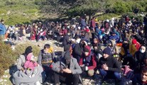İzmir'de 492 kaçak göçmen yakalandı; 6 gözaltı