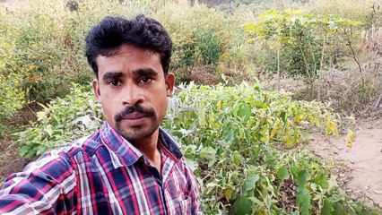 My village vlogs Desi lifestyle village