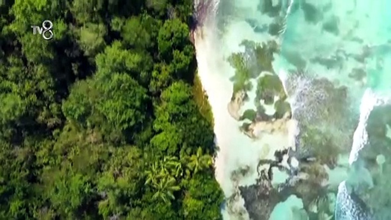SURVİVOR 1. BÖLÜM FRAGMANI _ ŞOK SAKATLIK!